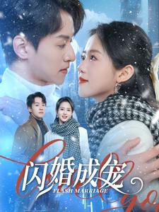17935-闪婚成宠（95集）-资源V站