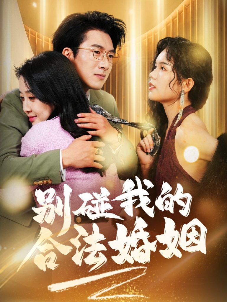 16213-别碰我的合法婚姻&天大地大老婆最大（30集）-资源V站