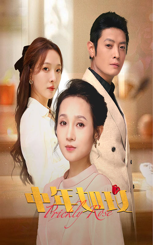 14292-中年如玫（68集）-资源V站