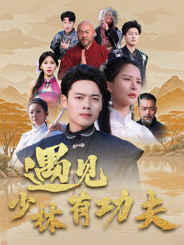 15908-遇见少林有功夫（36集）韩傲天-资源V站