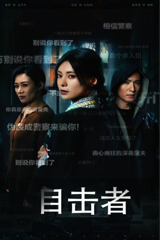17485-目击者&深夜伪装（30集）-资源V站
