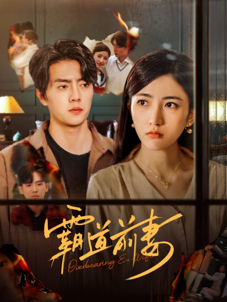 16108-霸道前妻（34集）张磊-资源V站