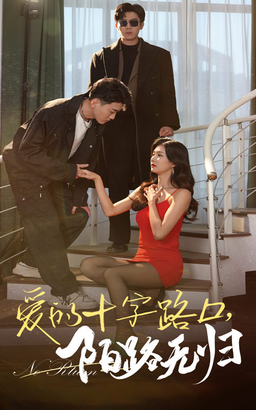 17060-爱的十字路口陌路无归（35集）张北淅&程美华-资源V站