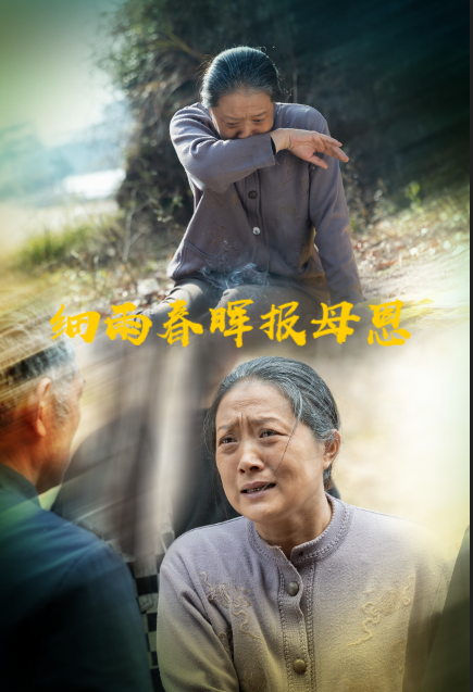 20714-细雨春晖报母恩（30集）周婷&夏家顺-资源V站