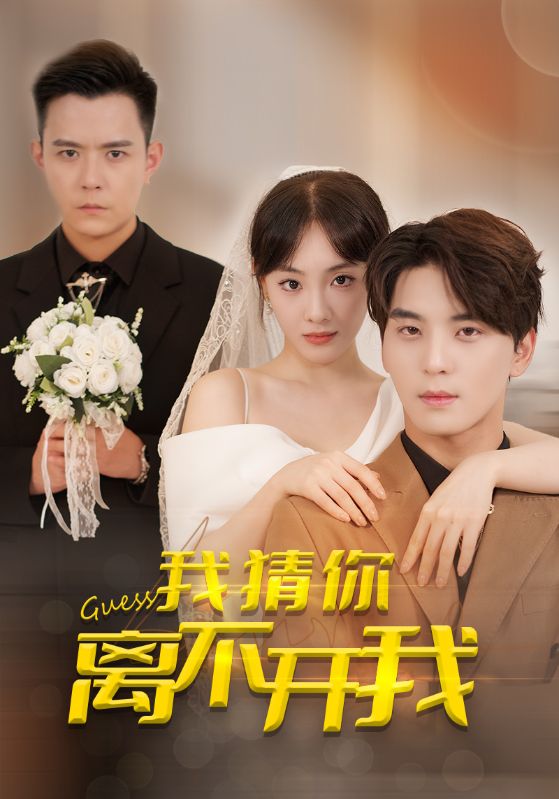 17295-我猜你离不开我（39集）-资源V站