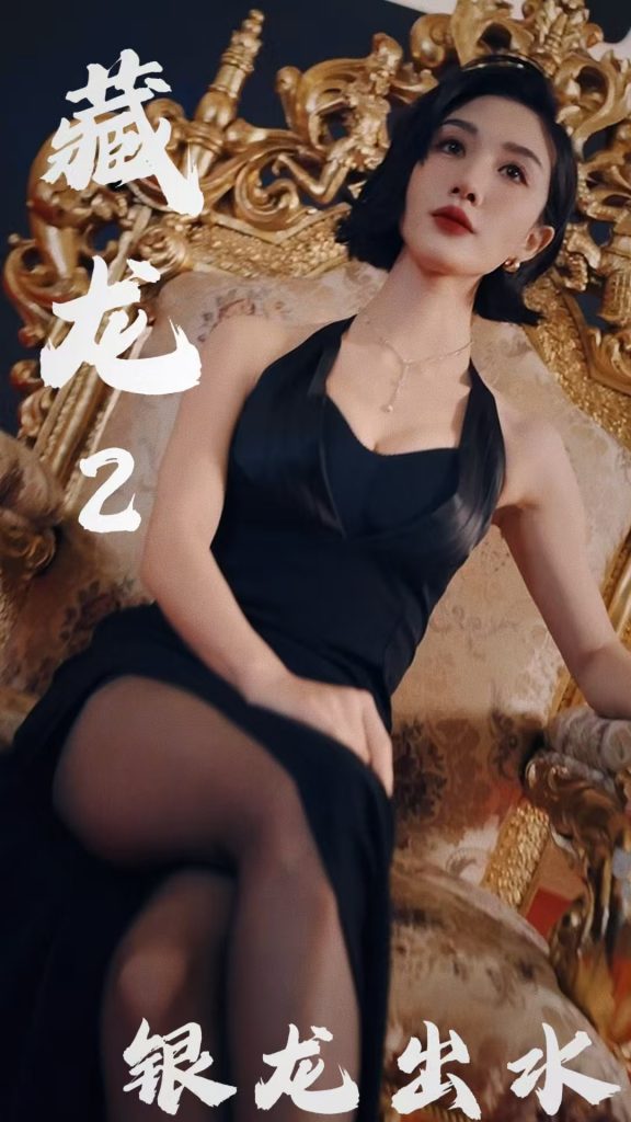 17264-藏龙2银龙出水（35集）-资源V站