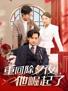 17312-重回除夕夜他崛起了（89集）-资源V站