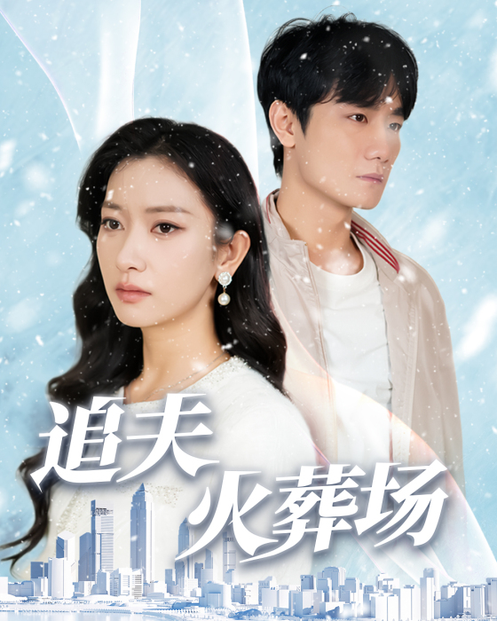 15009-追夫火葬场（31集）-资源V站