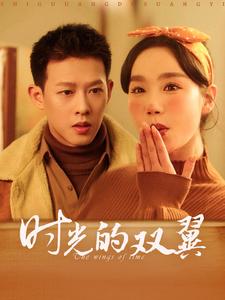 18717-时光的双翼（94集）柴昊辰＆张诗媛-资源V站