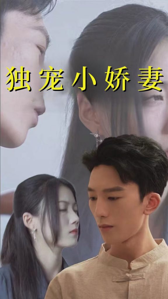 14763-独宠小娇妻（101集）-资源V站