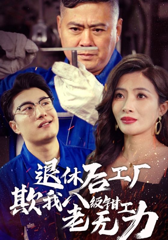 14508-退休后工厂欺我八级钳工老无力（35集）-资源V站