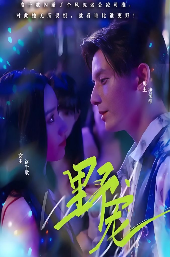 000391-野宠（100集）-资源V站
