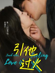 15042-引他过火（40集）-资源V站