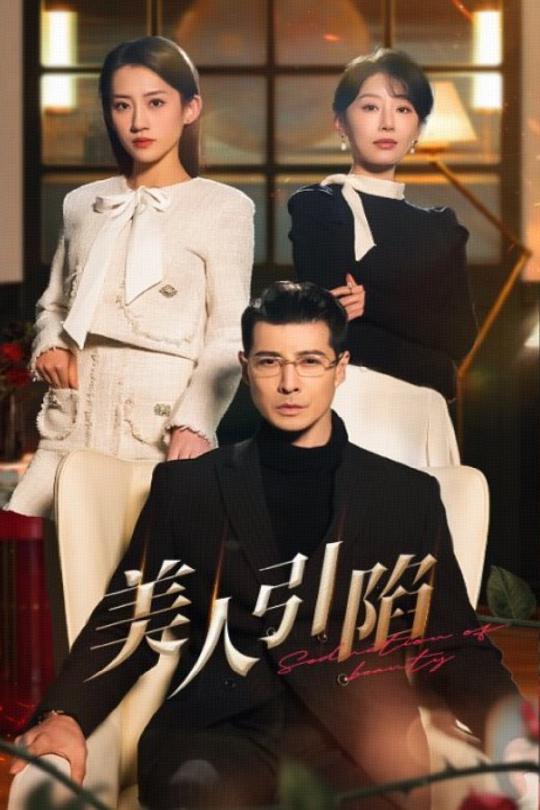 20095-美人引陷（56集）萨钢云＆于小琬&王冰星-资源V站