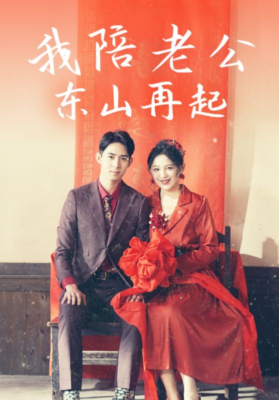 17335-我陪老公东山再起（50集）崔秀子-资源V站
