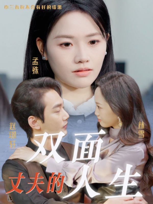 16913-丈夫的双面人生（30集）-资源V站