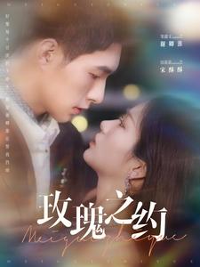 17571-玫瑰之约（95集）邹盛文＆田苗苗-资源V站