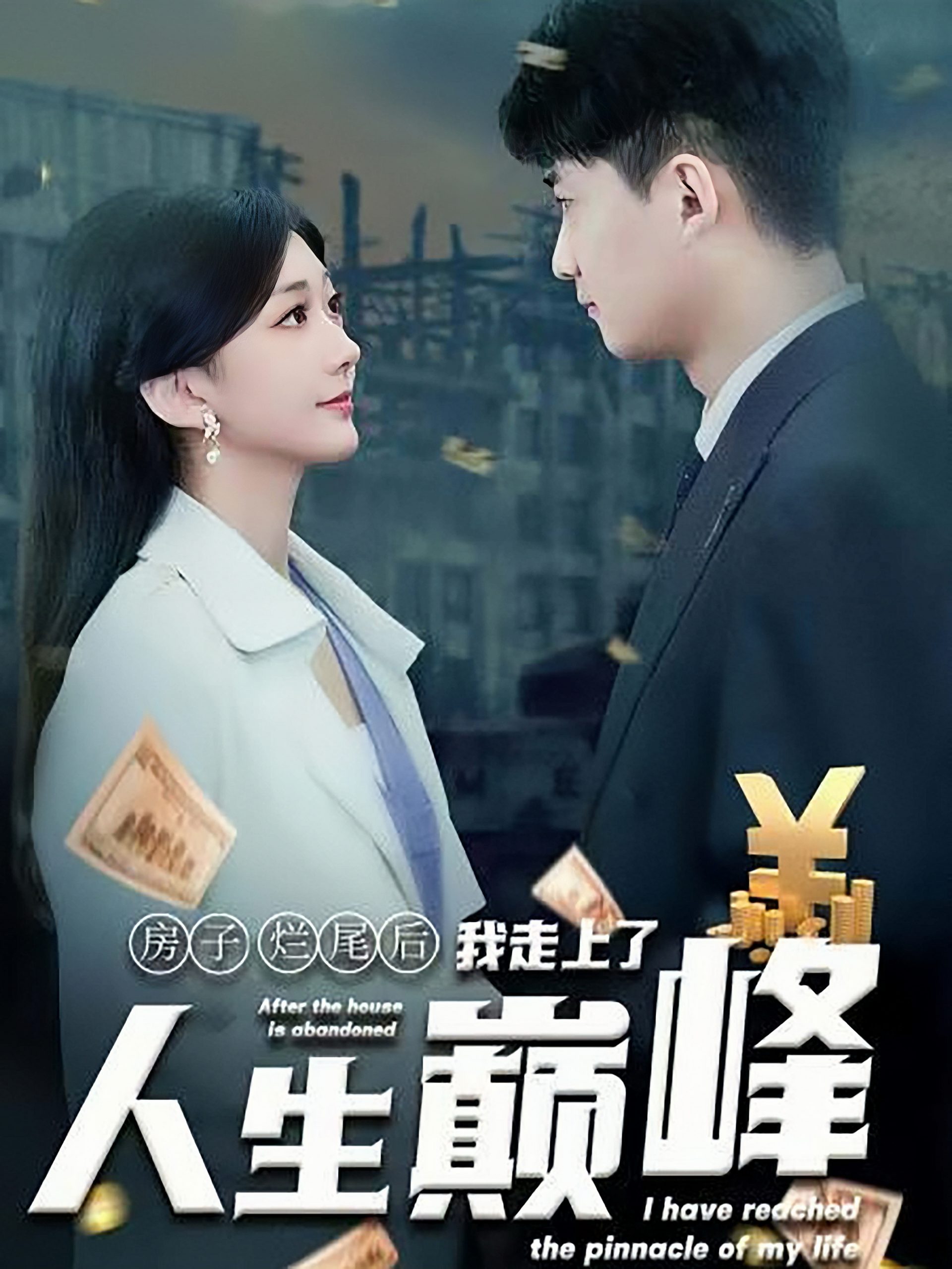 15276-房子烂尾后我走上了人生巅峰（36集）-资源V站