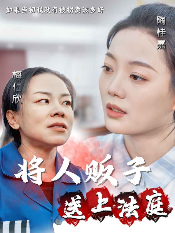 15376-将人贩子送上法庭（30集）-资源V站