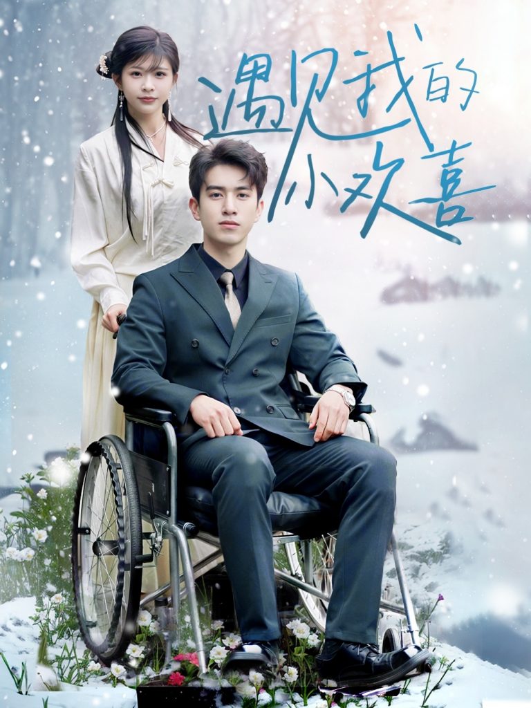 20172-遇见我的小欢喜（70集）阮俊杰＆毛丽婷-资源V站