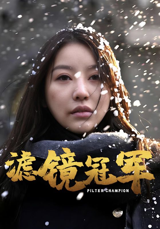 19658-滤镜冠军（32集）-资源V站