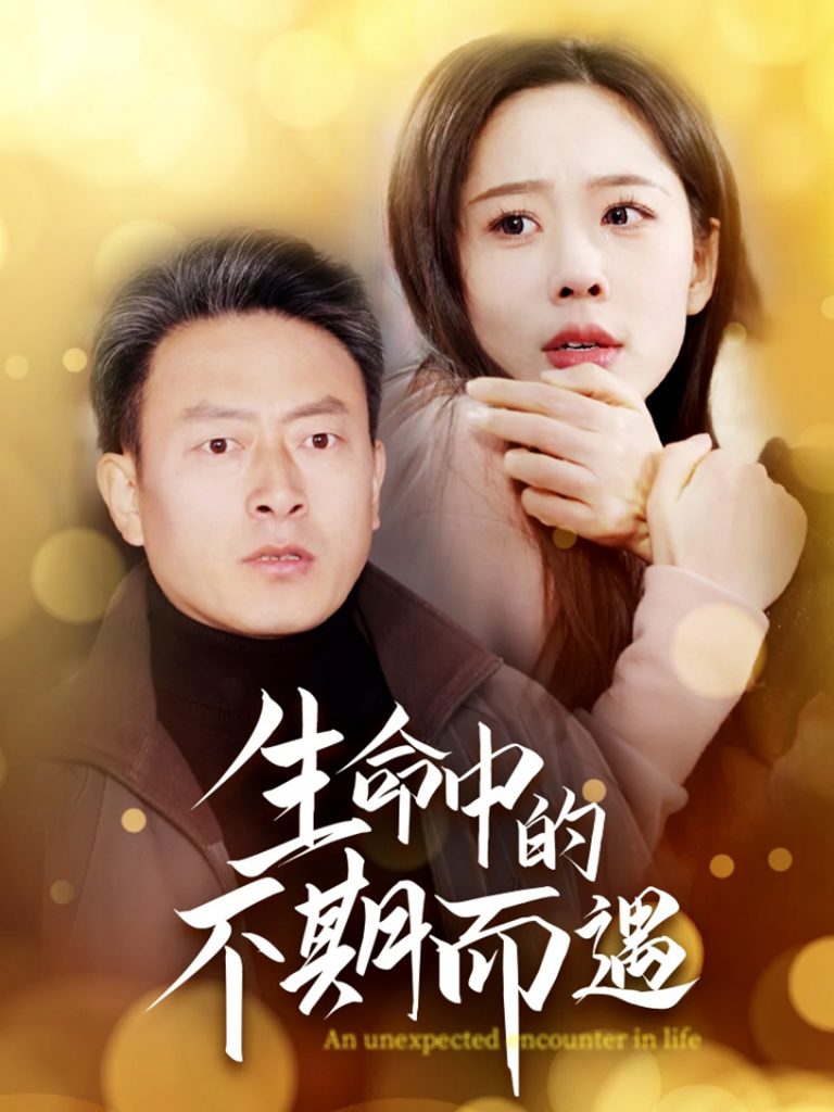 19613-生命中的不期而遇（35集）-资源V站