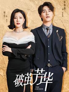 15047-破茧芳华（80集）-资源V站
