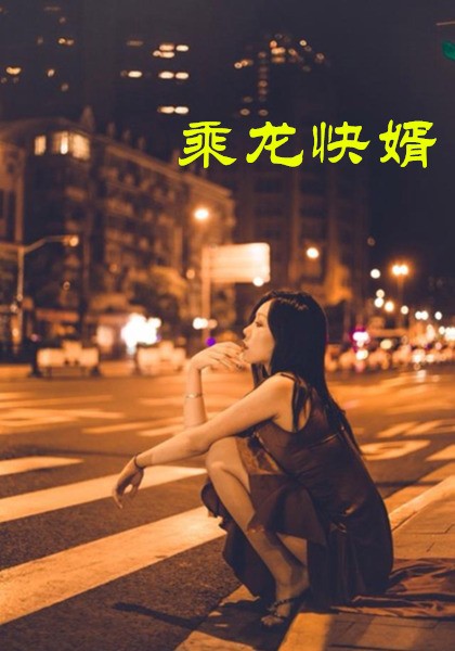 17365-乘龙快婿（30集）擦边剧-资源V站