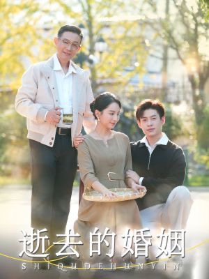 14895-逝去的婚姻（60集）孔莹莹-资源V站