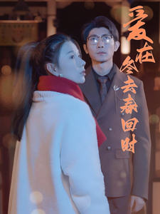 18023-爱在冬去春回时（73集）-资源V站