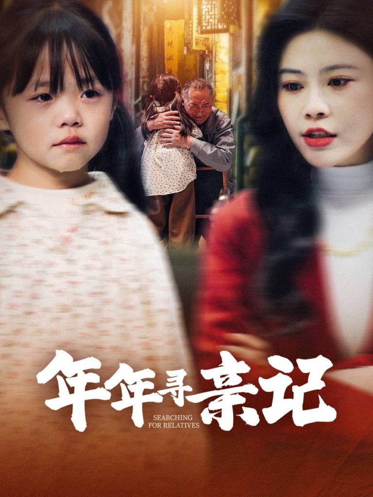 19272-年年寻亲记（31集）谭心-资源V站