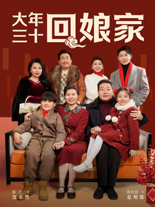 17307-大年三十回娘家（30集）滕艺-资源V站