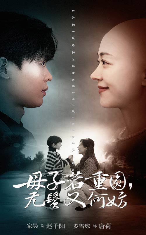 15531-母子若重圆无鬓又何妨（40集）-资源V站