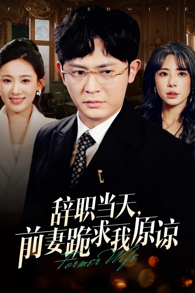16921-辞职当天前妻哭着求我原谅（23集）-资源V站