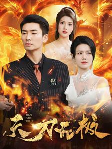 15388-天刀无极（100集）-资源V站