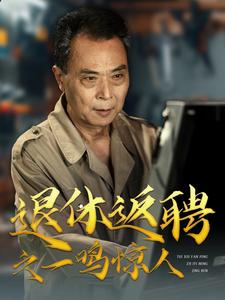 19417-退休返聘之一鸣惊人（65集）-资源V站