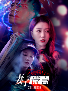 15483-万箭穿心之妻子的谎言（30集）-资源V站