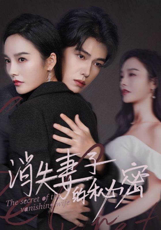 15289-消失妻子的秘密（60）李胜楠-资源V站