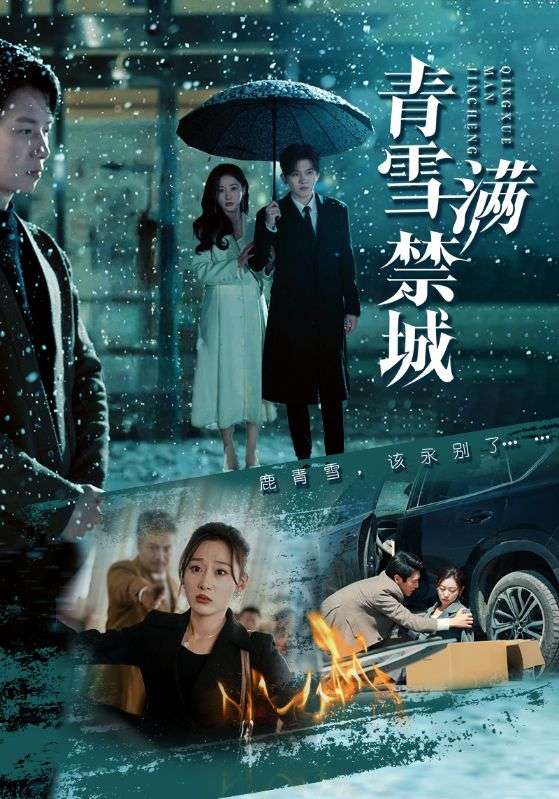 20116-青雪满禁城（51集）陈聿修＆刘亚倩-资源V站