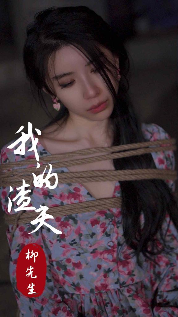 17811-我的渣夫柳先生（80集）-资源V站