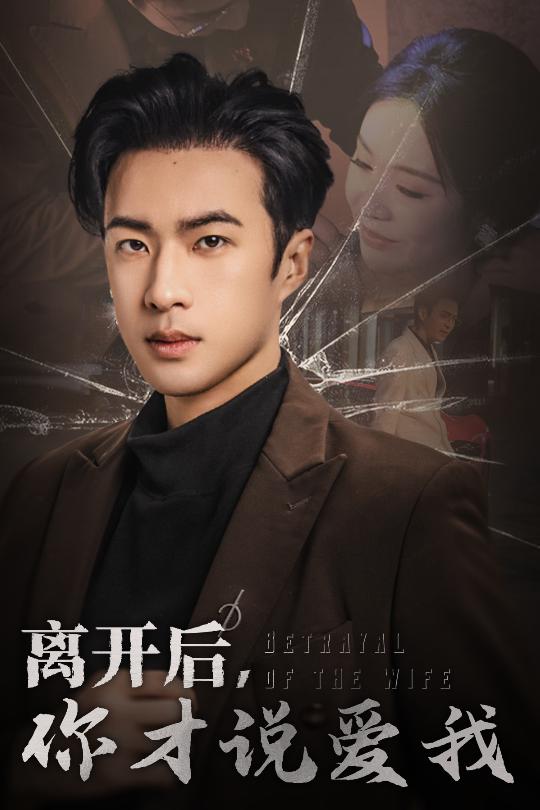 17342-离开后你才说爱我&心如枯木难逢春（30集）孔奇力-资源V站