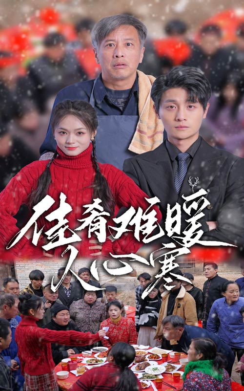 17278-佳肴难暖人心寒（31集）-资源V站