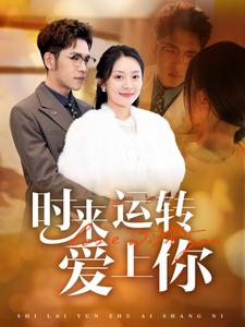 17372-时来运转爱上你（76集）-资源V站