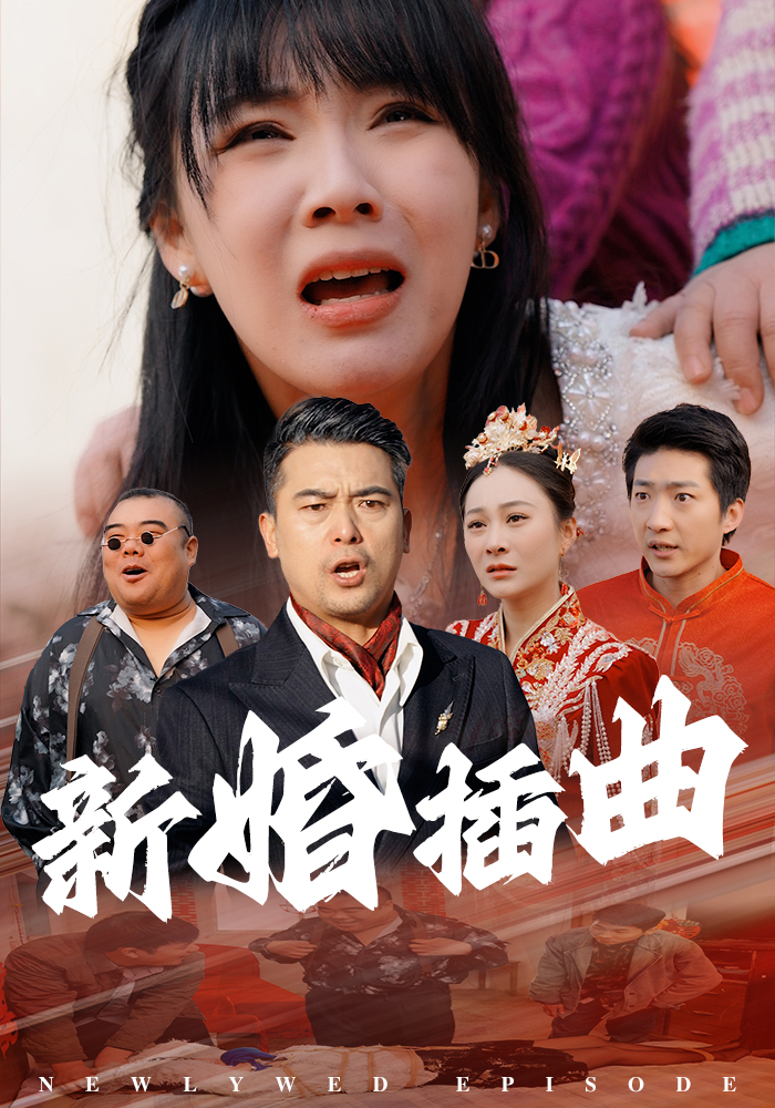 17762-新婚插曲（29集）-资源V站