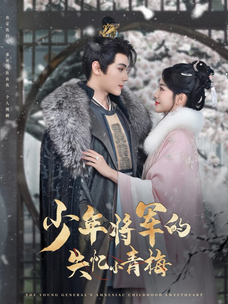 20430-少年将军的失忆小青梅（100集）赵垣又＆牛湘鹭-资源V站