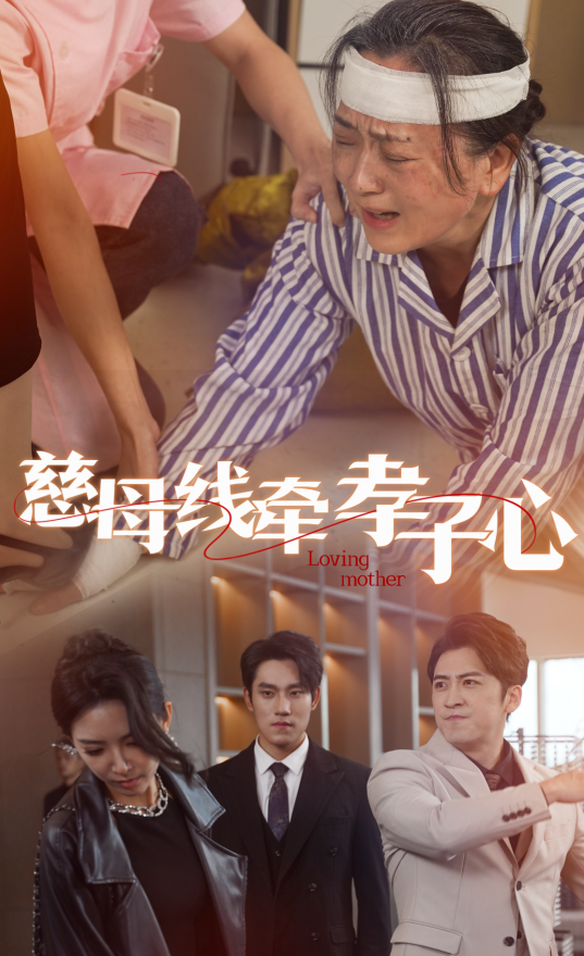 16182-慈母线牵孝子心（60集）-资源V站