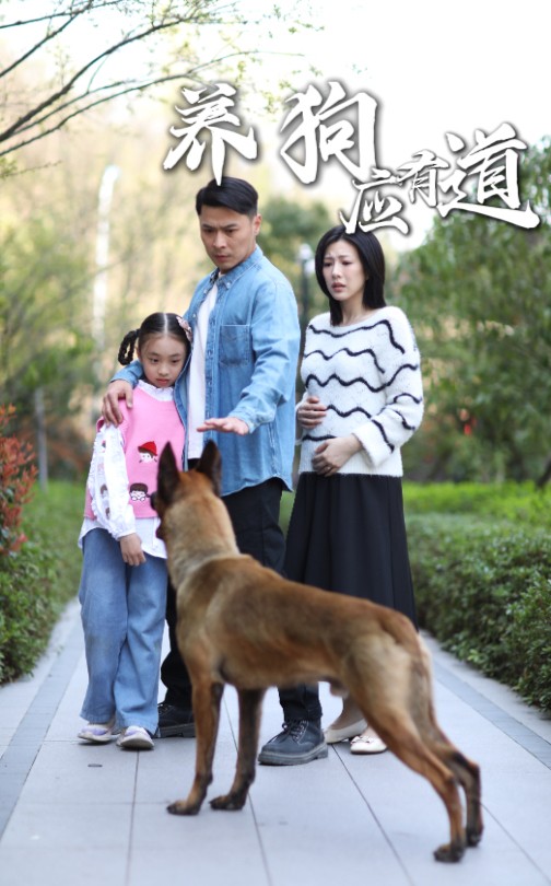 21557-养狗应有道（60集）-资源V站
