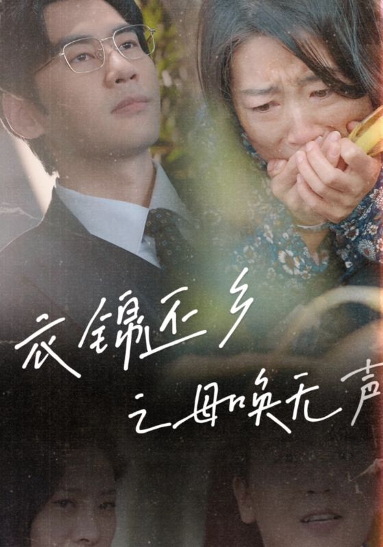 17294-衣锦还乡之母唤无声（60集）-资源V站
