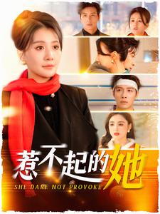 17468-惹不起的她（106集）屈婉琼-资源V站