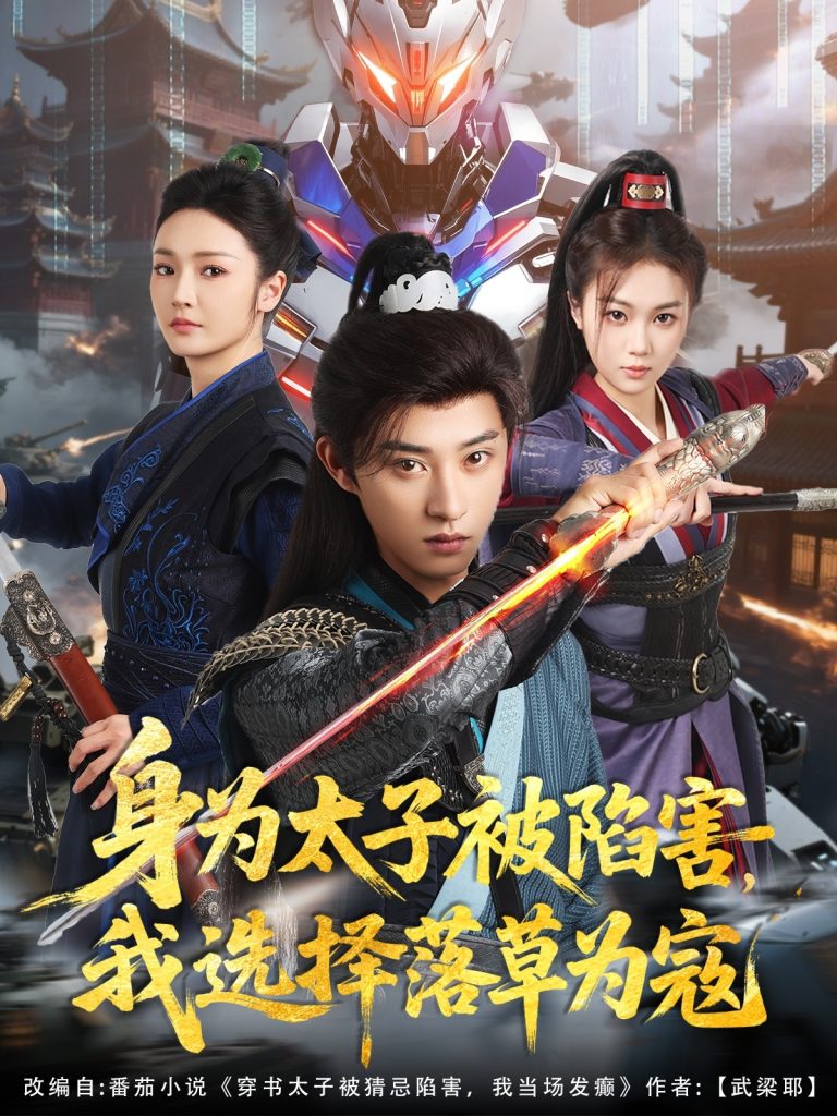 21749-身为太子被陷害，我选择落草为寇（87集）孙景琛＆胡冬晴-资源V站